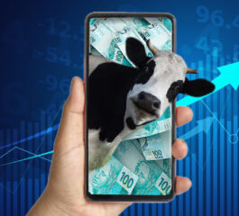 Turbinando o Mundo Financeiro: Empresas Vacas e Bezerras Leiteiras nas Ações e Investimentos.