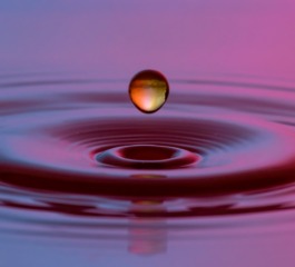 Gratidão: Um Movimento do Coração!