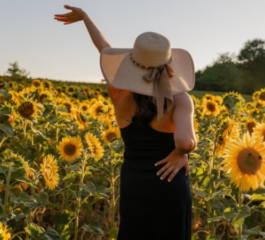 Vida e Energia: veja como pode ser simples carregar as baterias junto à natureza!