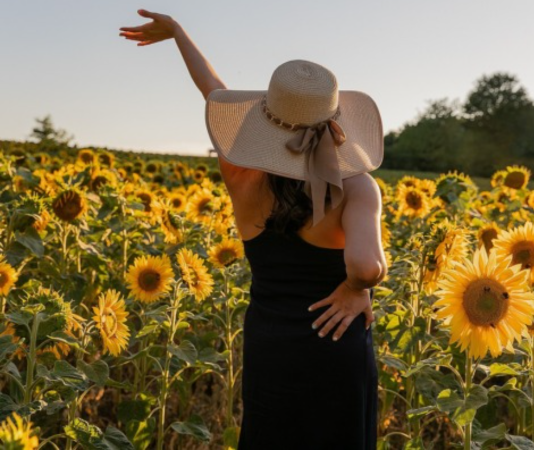 Vie et énergie : voyez comme il peut être simple de recharger des batteries au plus près de la nature !