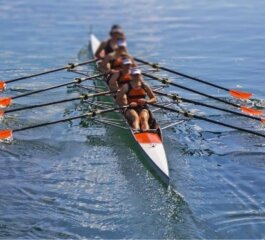 Cooperação X Competição: o que você precisa saber!