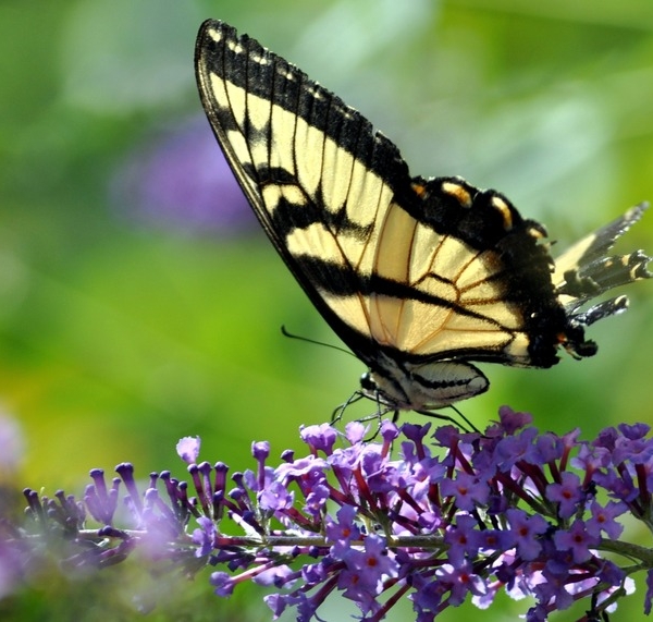 As Bênçãos da Vida: Descubra a Beleza em Cada Momento!